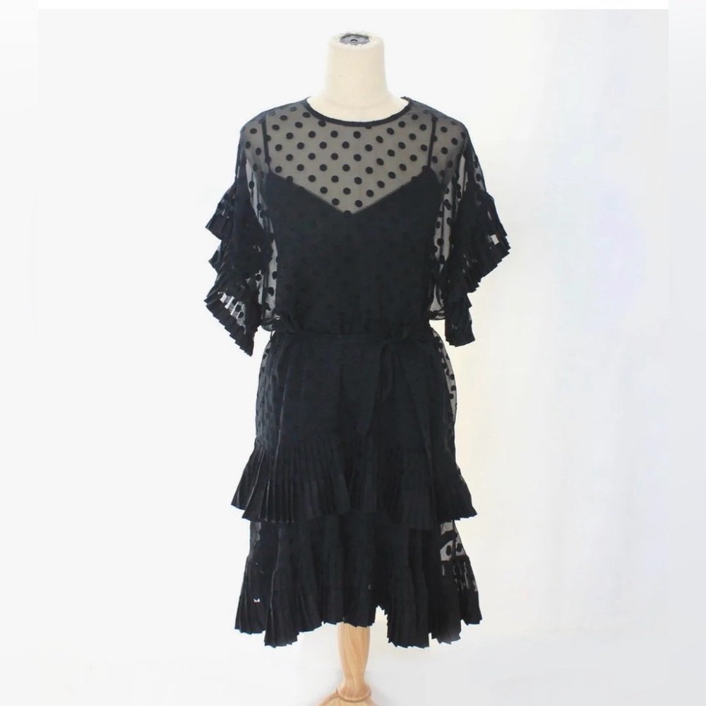 Zimmermann sheer polka dot ruffle dress